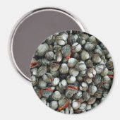 Bloedzuigdeksels Magneet (Voorkant / Achterkant)