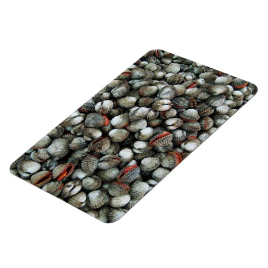 Bloedzuigdeksels Magneet (Linkerzijde)