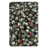 Bloedzuigdeksels Magneet (Verticaal)