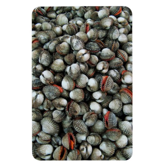 Bloedzuigdeksels Magneet (Verticaal)