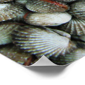 Bloedzuigdeksels Poster (Hoek)