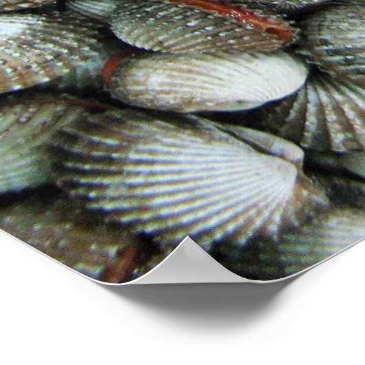 Bloedzuigdeksels Poster (Hoek)