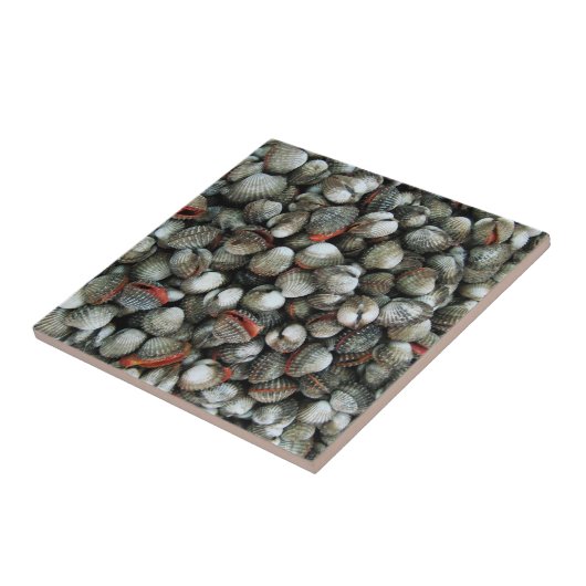 Bloedzuigdeksels Tegeltje (Zijkant)