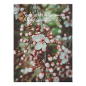 Bloedzuigerboom Perfect Poster (Voorkant)