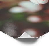 Bloedzuigerboom Perfect Poster (Hoek)