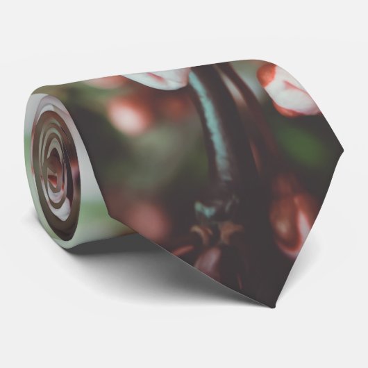 Bloedzuigerboom Stropdas (Opgerold)