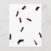 bloedzuigers briefkaart (Voorkant)