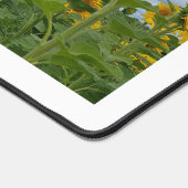 Bloei in Grace Veld van Zonnebloemen Bureaumat (Hoek)