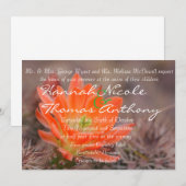 Bloei in oranje kaart (Voorkant / Achterkant)