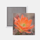 bloei in oranje magneet (Voorkant / Achterkant)