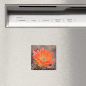 bloei in oranje magneet (Insitu (Vaatwasser))
