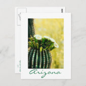 bloei van een Saguaro Briefkaart (Voorkant / Achterkant)