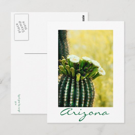 bloei van een Saguaro Briefkaart (Voorkant / Achterkant)