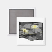 Bloei voorbij het Lijst Magneet (Voorkant / Achterkant)