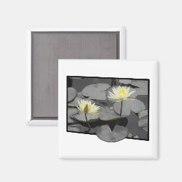 Bloei voorbij het Lijst Magneet