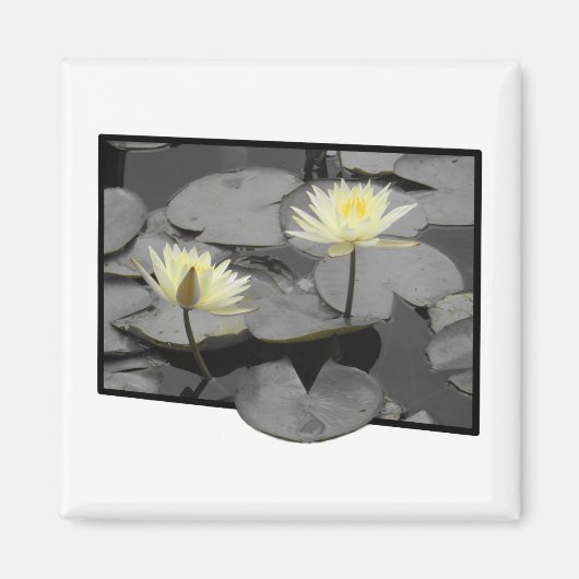 Bloei voorbij het Lijst Magneet (Voorkant)