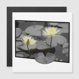 Bloei voorbij het Lijst Magnetische Kaart