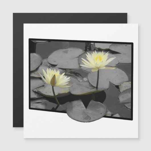 Bloei voorbij het Lijst Magnetische Kaart (Voorkant / Achterkant)