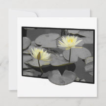 Bloei Voorbij het Lijst Platte Kaart