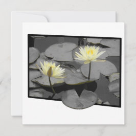 Bloei Voorbij het Lijst Platte Kaart