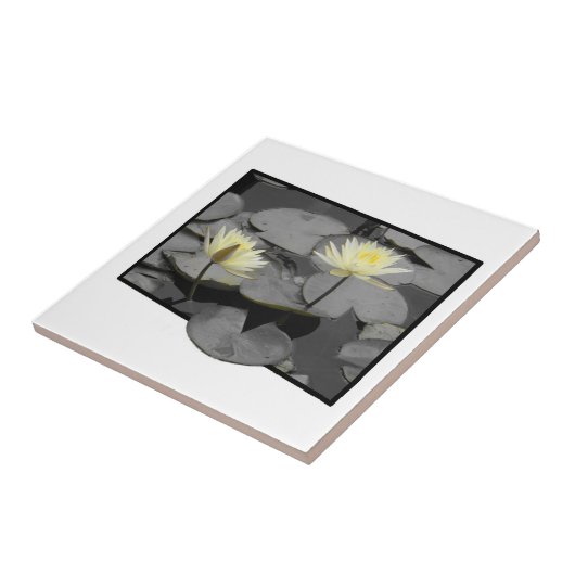 Bloei voorbij het Lijst Tegeltje (Zijkant)