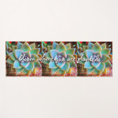 Bloei Waar Geplant Turquoise Cactus Fotografie Yogamat (Voorkant (horizontaal))