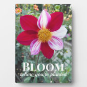 Bloei waar je bent geplant Quote Floral Fotoplaat (voorkant)