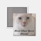 Bloei waar je geplant afbeeldingen magneet bent (Voorkant / Achterkant)