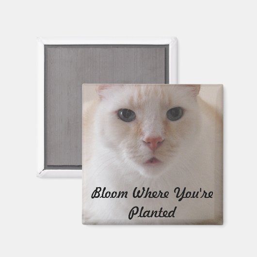 Bloei waar je geplant afbeeldingen magneet bent (Voorkant / Achterkant)