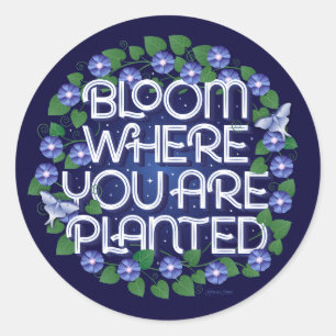 Bloei Waar Je Geplant Bent / Stickers