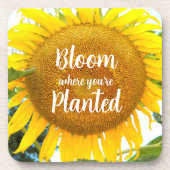 Bloei waar je geplant gele zonnebloem bier onderzetter (Voorkant)