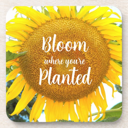 Bloei waar je geplant gele zonnebloem bier onderzetter (Voorkant)