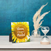 Bloei waar je geplant gele zonnebloem fotoplaat (Insitu)