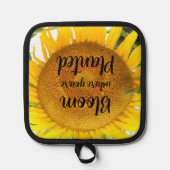 Bloei waar je geplant gele zonnebloem pannenlap (Voorkant)