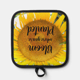 Bloei waar je geplant gele zonnebloem pannenlap