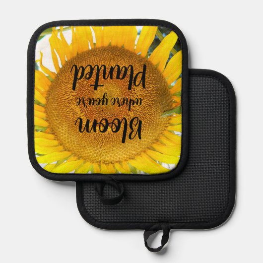 Bloei waar je geplant gele zonnebloem pannenlap (Voorkant / Achterkant)