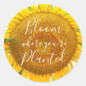 Bloei waar je geplant gele zonnebloem ronde sticker (Voorkant)