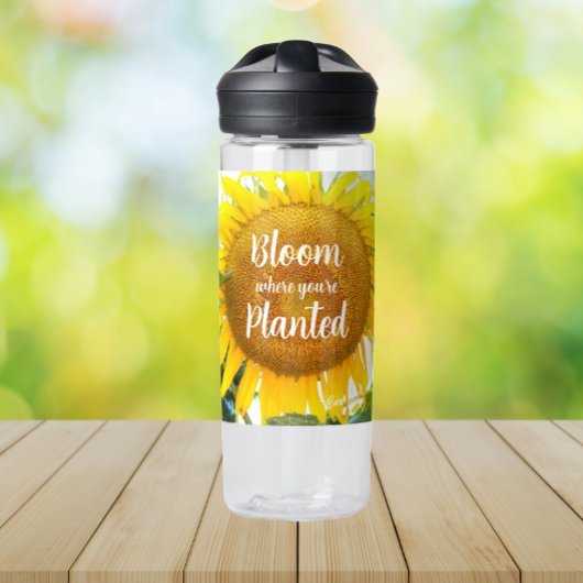 Bloei waar je geplant gele zonnebloem waterfles