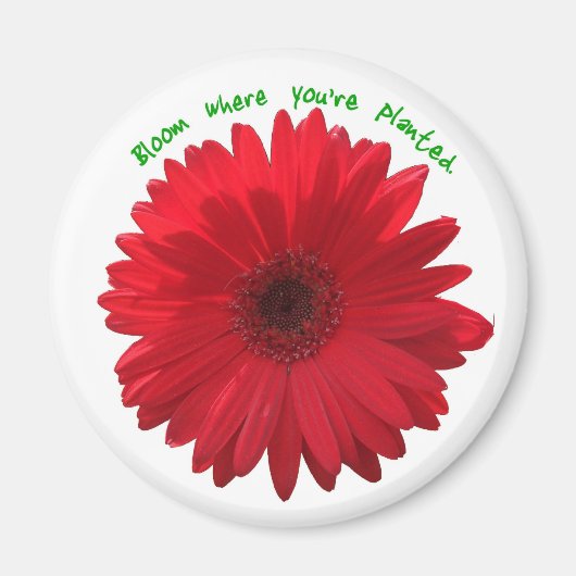 Bloei waar je magneet geplant bent (Voorkant)