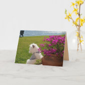 Bloei waar u geplant wenskaartafbeelding bent kaart (Gele Bloem)