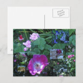 Bloeien boven alles bloeien briefkaart (Voorkant / Achterkant)