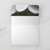 Bloeien in Lochmara Struik Wenskaart Kaart (Binnen)