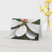 Bloeien in Lochmara Struik Wenskaart Kaart (Gele Bloem)