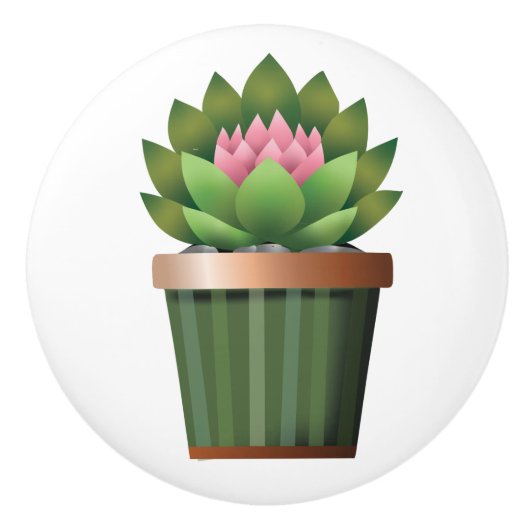 bloeiend aeonium keramische knop (Voorkant)