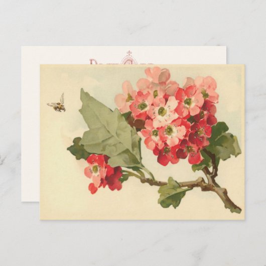  bloeiend Briefkaart (Voorkant / Achterkant)