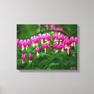 Bloeiend Hart Canvasprint Canvas Afdruk