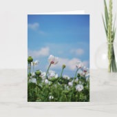 Bloeiend Papaver somneferum maanzaad bloemen. Kaart (Voorkant)