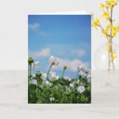 Bloeiend Papaver somneferum maanzaad bloemen. Kaart (Gele Bloem)