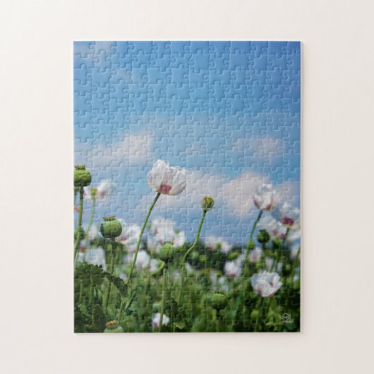 Bloeiend Papaver somneferum maanzaad bloemen. Legpuzzel (Verticaal)