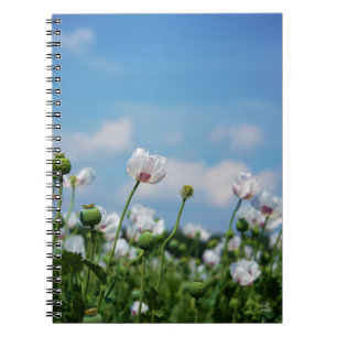 Bloeiend Papaver somneferum maanzaad bloemen. Notitieboek